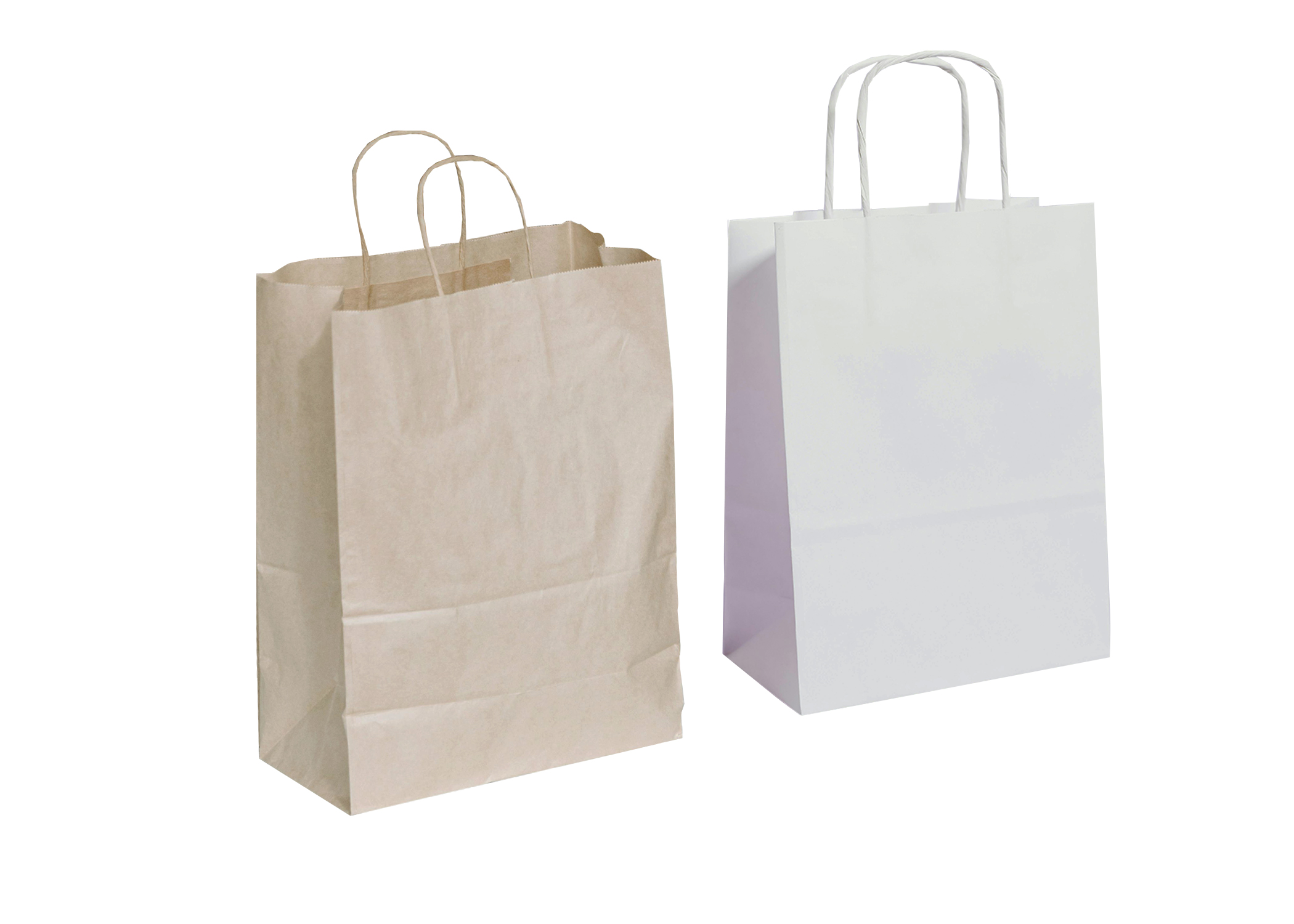 Twisted Handle Bag